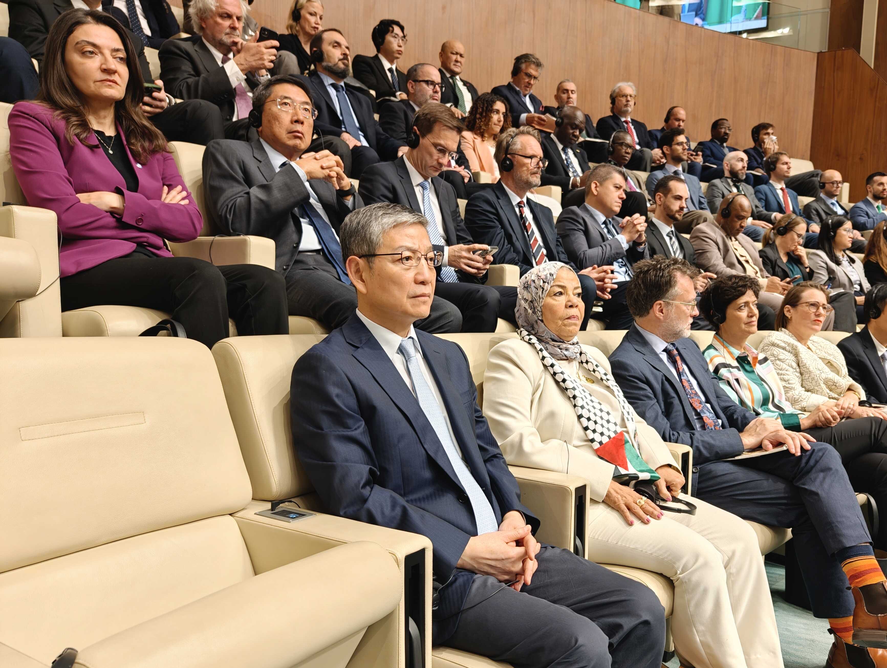 2025巴国际日2.jpg